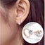 925 Sterling Silver Earrings, Six Claw Zircon Heart Round Stud Earrings, Korean Carousel 1