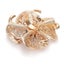 Cerise Adjustable Statement Ring - Oversized, Flower, Floral, Stylised, Gold,... Carousel 11