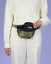 Dog Treat Pouch - Belt Bag Carousel 4
