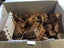 Box of Wooden Building Blocks Carousel 5