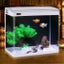 Acrylic Aquarium Fish Tank 30*18.5*33CM Carousel 1