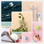 10pcs Self Adhesive Wall Hook for Home and Office Organization Carousel 4