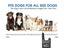 New Dog Training Collars on Afterpay Carousel 4