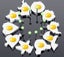 Loading Image 1 of 1