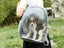 Pet Carrier Backpack Expandable Outdoor Large Capacity Pet Backpack Grey Carousel 4