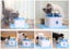 Automatic Electric Pet Water Fountain Dog Cat Drinking Bowl NZ Clearance Carousel 7