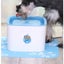 Automatic Electric Pet Water Fountain Dog Cat Drinking Bowl NZ Clearance Carousel 10
