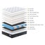 • PANAMERA KING POCKET SPRING MEMORY FOAM EURO TOP MATTRESS $995 FREE DELIVERY • Carousel 4