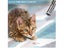 PTN NEW Rechargeable Laser Pointer Sale Sale Sale Carousel 7