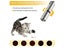 PTN NEW Rechargeable Laser Pointer Sale Sale Sale Carousel 11