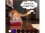 PTN NEW Rechargeable Laser Pointer Sale Sale Sale Carousel 16