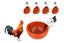 Loading Image 1 of 6