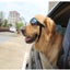 Super Cute Foldable Waterproof Goggles Uv Protection Dogs Sunglasses Dog Clothin Carousel 5