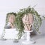 Cute Face Resin Flower Pot Succulent Planter Vase Vases Carousel 6