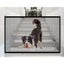 Portable Magic Mesh Baby Gate Pet Gate Kids Safety Fence Guard for Stairs Doors Carousel 3