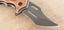 'Eagle Claw' 18cm Gray Titanium Blade Outdoor Portable Pocket Folding Knife Gift Carousel 6