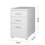 Goslash Picks Metal Cabinet Storage Cabinets Folders Steel Study Office Organ... Carousel 3