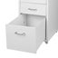 Goslash Picks Metal Cabinet Storage Cabinets Folders Steel Study Office Organ... Carousel 6