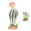 reptile cactus plant reptile cactus plant decoration fish tank artificial plant Carousel 7