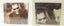 20x Bulk CD Choose one Music audio CD $6 - 9.99 Each 07012024A Carousel 12