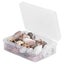 diy seashell natural seashell jewelry diy sea snail mixed sea shell Jewelry Carousel 5