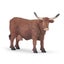 Papo Salers Cow Figurine Carousel 1