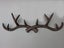 Cast Iron Deer Antlers Coat Rack Key Holder Bathroom Towels Hanger Carousel 2