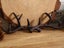 Cast Iron Deer Antlers Coat Rack Key Holder Bathroom Towels Hanger Carousel 4