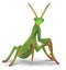 Loading Image 1 of 1