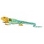 Loading Image 1 of 6