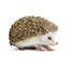 Loading Image 1 of 6