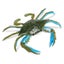 Loading Image 1 of 5
