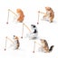 Loading Image 1 of 8