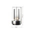 Portable Metal Table Lamp for Indoor Outdoor Rechargeable Cordless LED Lamp Carousel 2