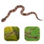 Loading Image 1 of 4