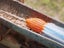 2X Gutter Cleaning Tool Roofing Guard Cleaner Drain Pipe Cleaning Nozzle Carousel 1