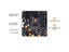 NEW AMD Ryzen 5 5600X R5 5600X CPU ASUS TUF GAMING B550M PLUS Micro-ATX Carousel 7
