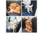Multifunction Waterproof Pet Back Car Seat Cover Hammock NonSlip Protector Mat Carousel 5
