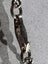 Vintage NZ Sterling Silver Paua Heart and Fern Pendant on Sterling Chain Carousel 7