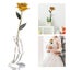 24k gold-plated real rose rose with base valentine's day rose 24K Gold Plated Carousel 4