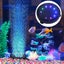 Aquarium Bubble Light Aquarium Air Stone LED Light Carousel 7