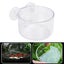 aquarium cone red worm feeder fish feeding cup red worm fish feeder crystal fish Carousel 6