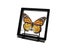 LP Records CD Holder Metal Display Stand For Home Office Carousel 4