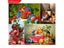 5D Diamond Painting Scenery Full Drill Diamond Mosaic Painting Fruit Pictures Carousel 3