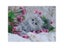 5D DIY Diamond Mosaic Diamond Embroidery Cute Cat And Pink Flowers Embroidered Carousel 3