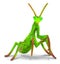Loading Image 1 of 1