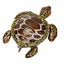 hinged trinket boxes jewelry trinket boxes Turtle Trinket Boxes Handcrafted Hand Carousel 1