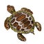 hinged trinket boxes jewelry trinket boxes Turtle Trinket Boxes Handcrafted Hand Carousel 2