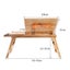 Bauhinia Pattern Folding Computer Desk Bed Dorm Notebook Lap Desk Large with Fan Carousel 2