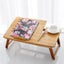 Bauhinia Pattern Folding Computer Desk Bed Dorm Notebook Lap Desk Large with Fan Carousel 6